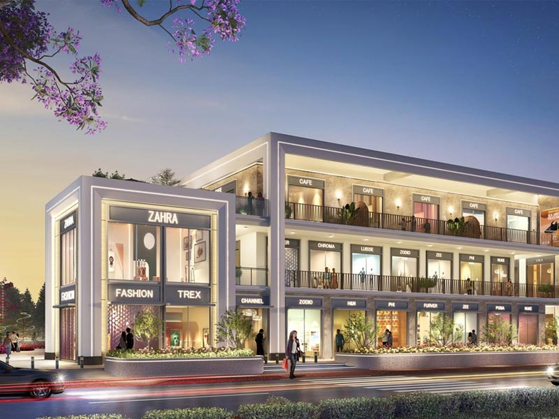 Dlf Club Arvcade Commercial Sector 91 Gurgaon