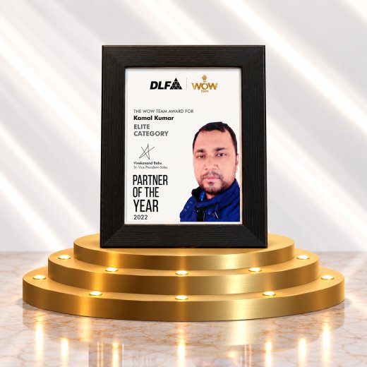 Partner of the Year 2022, Elite Category - DLF