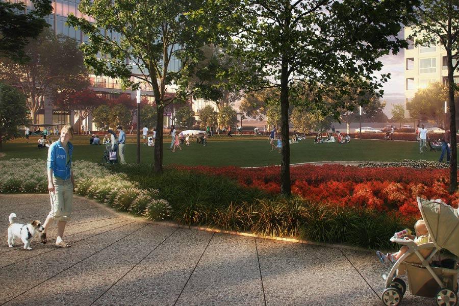 DLF Grove photo 3