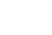Trident Realty