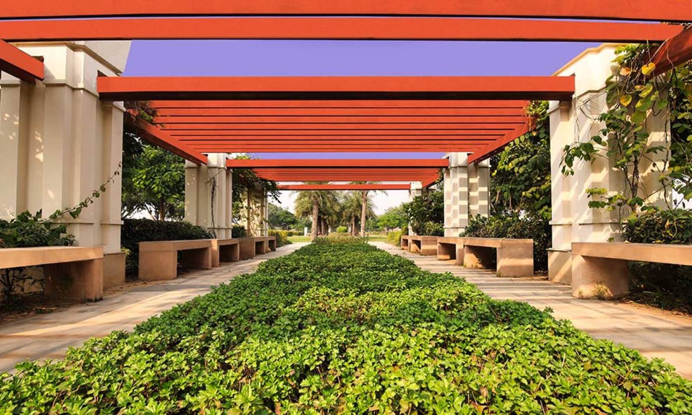 DLF Alameda