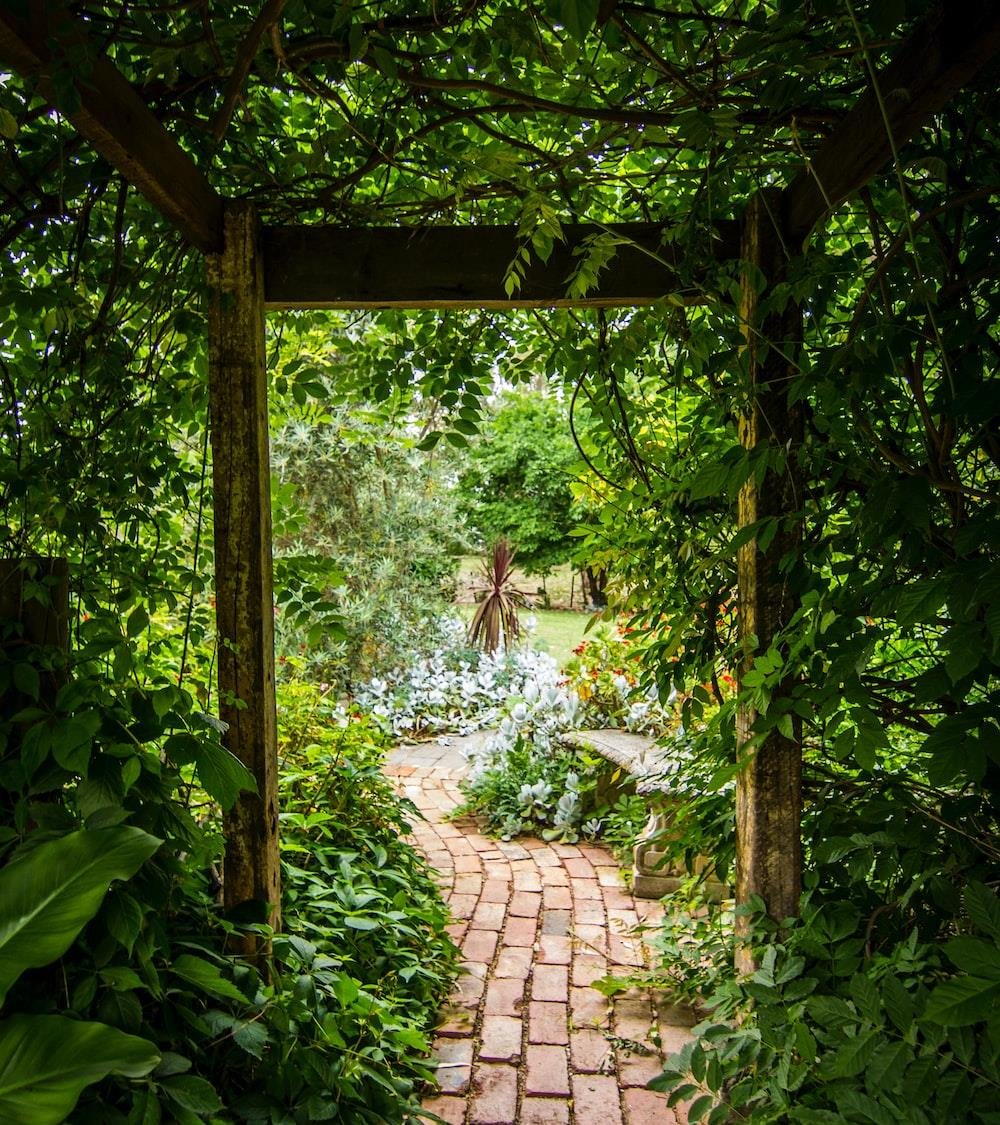 DLF The Arbour
