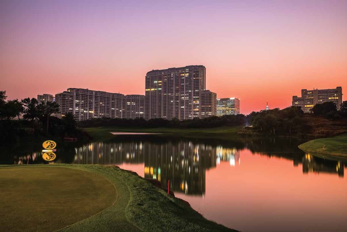 DLF The Camellias