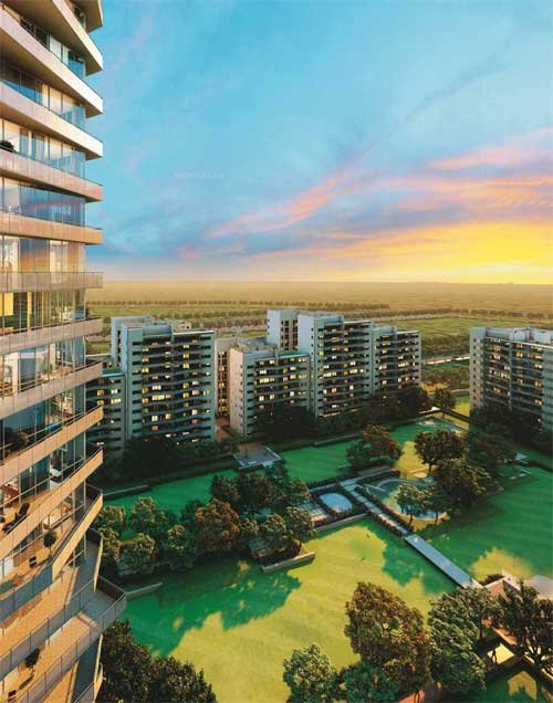 Ireo Skyon photo 3
