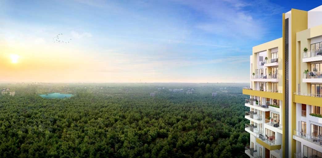 Risland Sky Mansion, Chhatarpur, Delhi