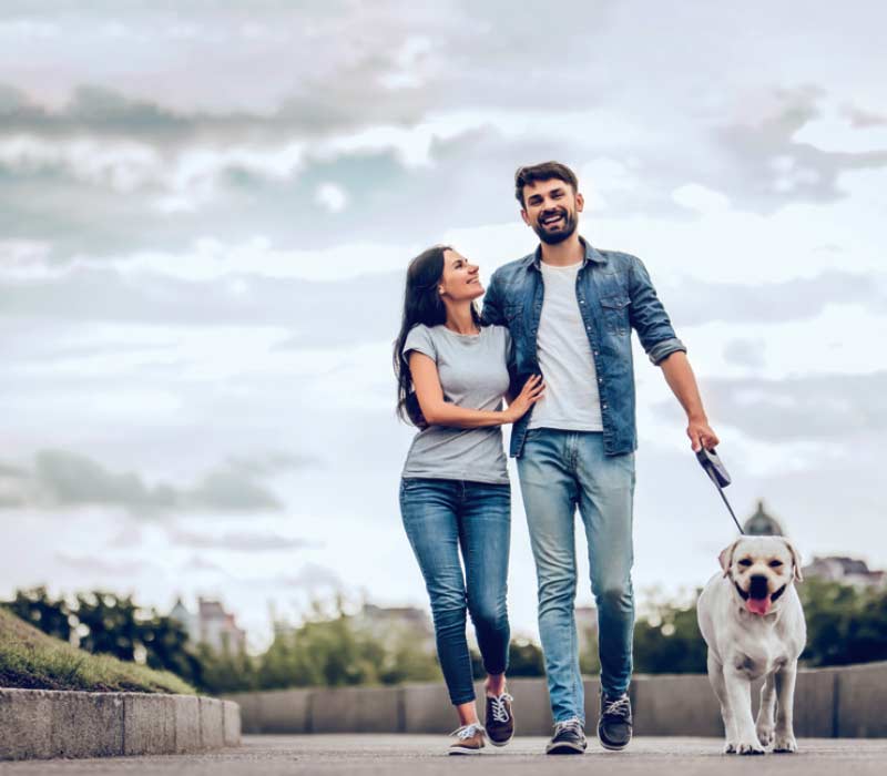 Dlf Floors Phase 2 Close to nature in the heart of gurgaon