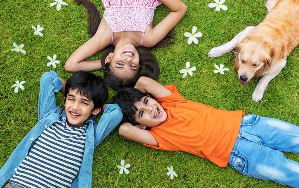 Dlf Skycourt luxury all around