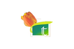 Tulip Infratech